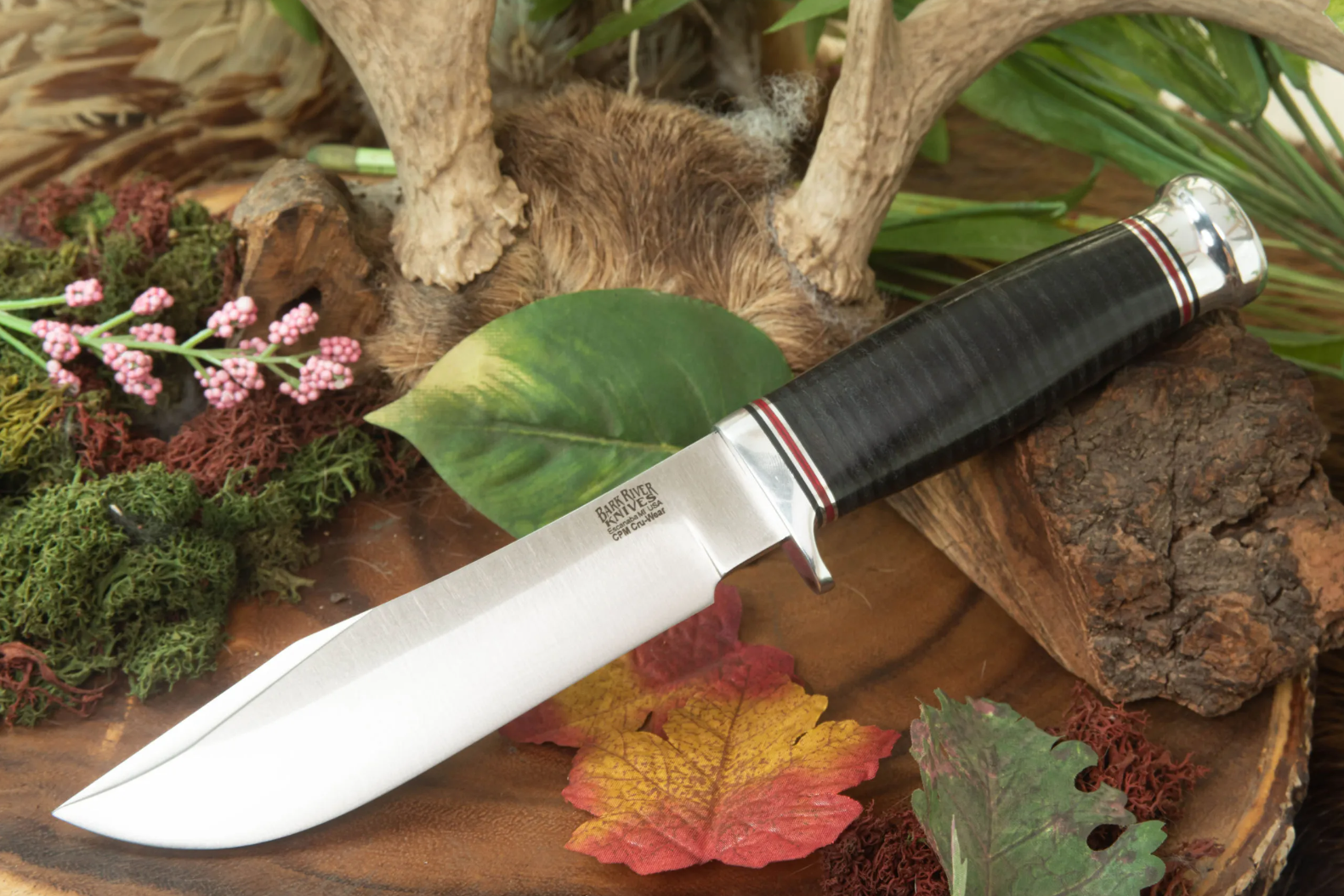 Sharp Knives -Sharp Knives 2qw1