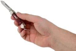 Case Baby Butterbean Burgundy Smooth Kirinite, Fluted Bolsters, 23185, 102132 SS Pocket Knife 9 Case Baby Butterbean Burgundy Smooth Kirinite, Fluted Bolsters, 23185, 102132 SS Pocket Knife -Sharp Knives CE23185 05 case